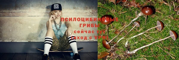 прущая мука Киреевск