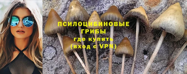 прущая мука Киреевск