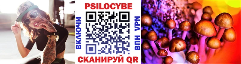 Купить  Октябрьский  Псилоцибиновые грибы GOLDEN TEACHER 